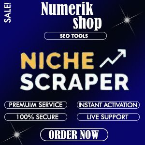 Niche Scraper